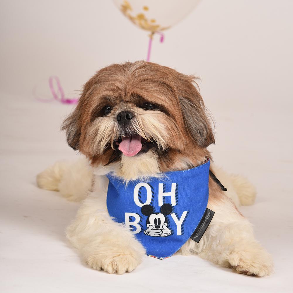 HUFT XÂ©Disney Mickey Dog Bandana - Heads Up For Tails