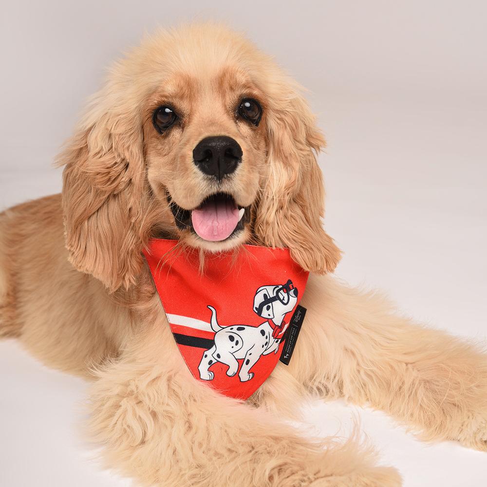 HUFT XÂ©Disney Dalmatians Dog Bandana - Heads Up For Tails