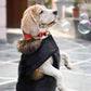 HUFT Mayfair Dog Jacket - Black - Heads Up For Tails