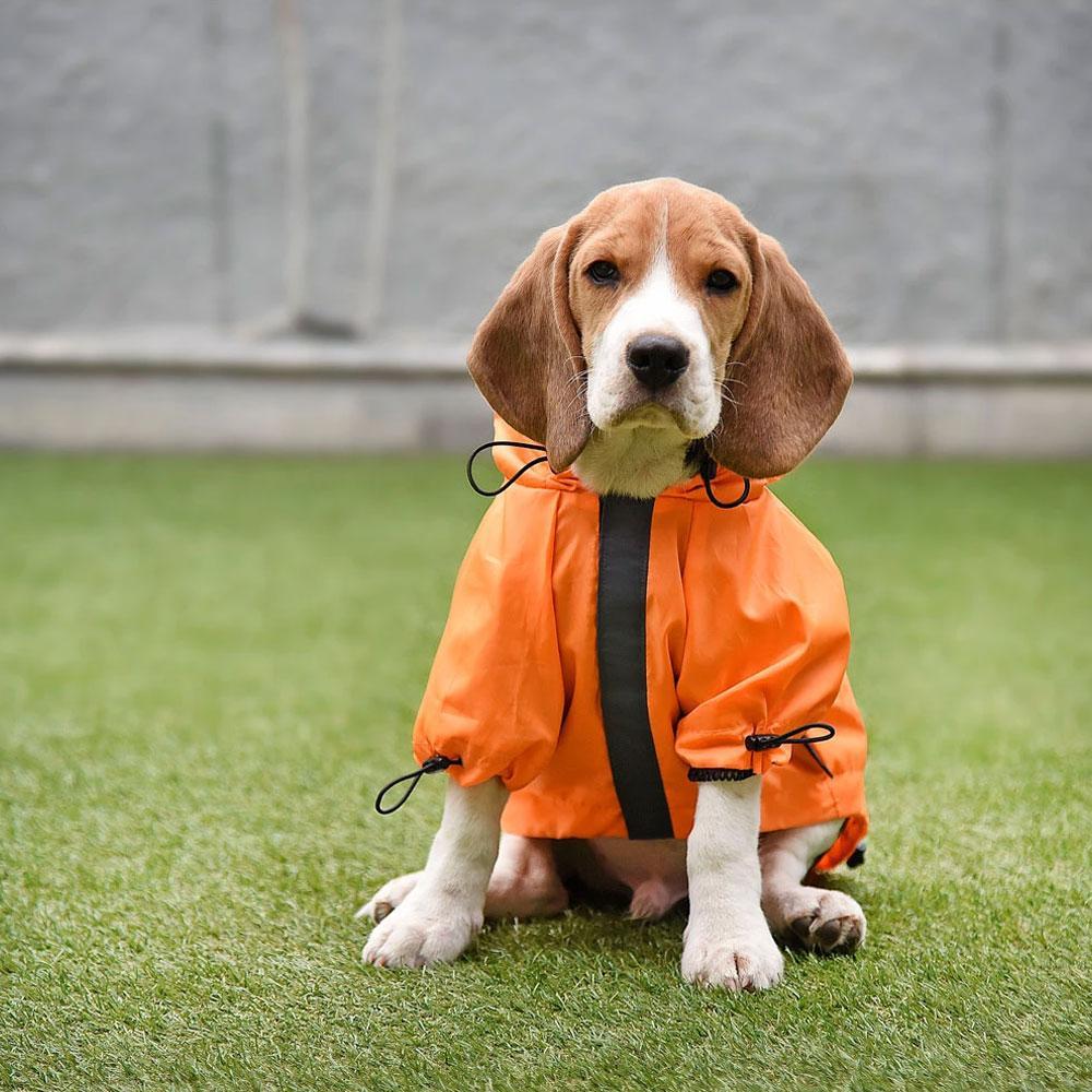 HUFT Orange Raincoat for Dogs - Heads Up For Tails