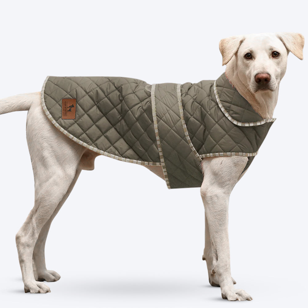 HUFT Grrrberry Quilted Dog Jacket - Green - Heads Up For Tails