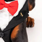 HUFT Made To Order Black Tuxedo Harness - Heads Up For Tails