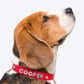 HUFT Personalised Dog Collar - Red - Upto 7 Letters - Heads Up For Tails