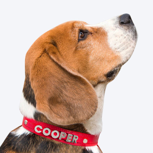 HUFT Personalised Dog Collar - Red - Upto 7 Letters - Heads Up For Tails