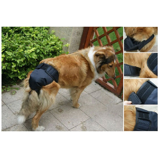 Dog Panty - Heads Up For Tails