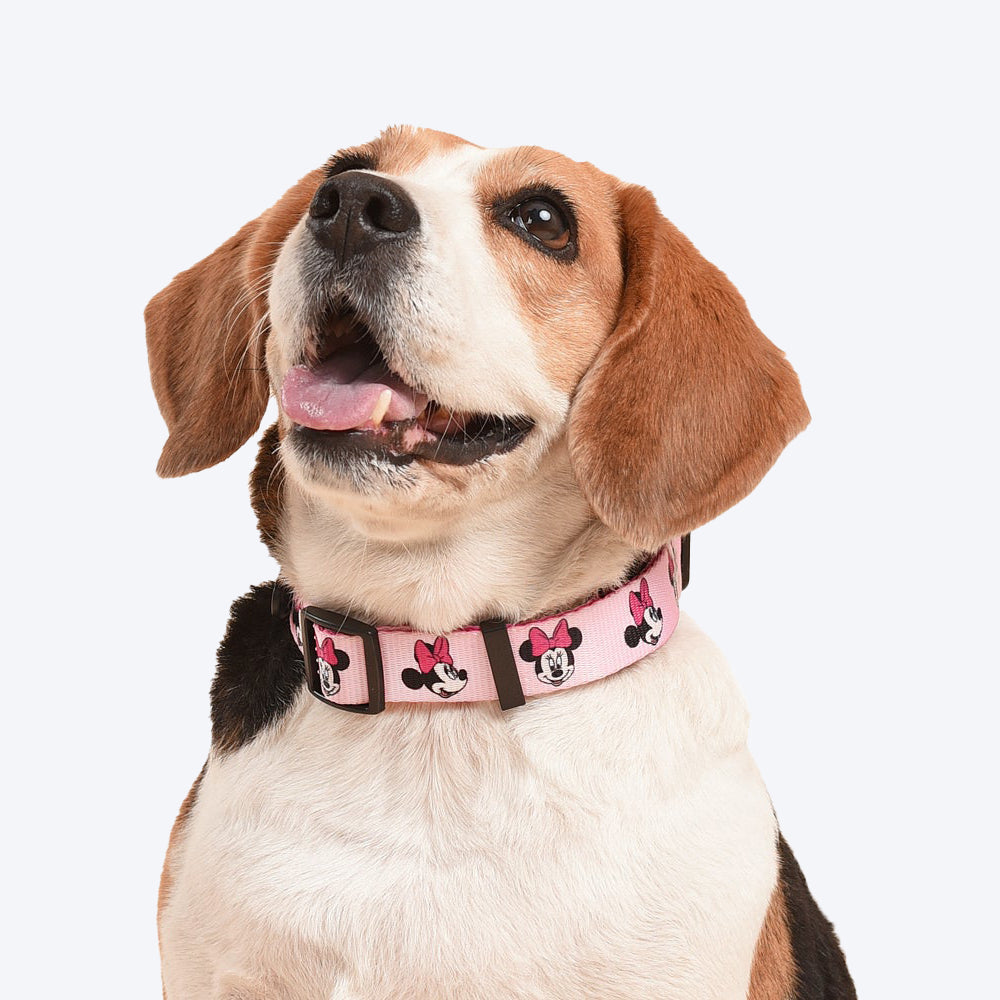 HUFT XÂ©Disney Minnie Dog Collar - Pink - Heads Up For Tails