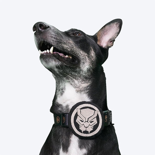 HUFT X©Marvel Black Panther Collar Insert For Dogs - Black - Heads Up For Tails