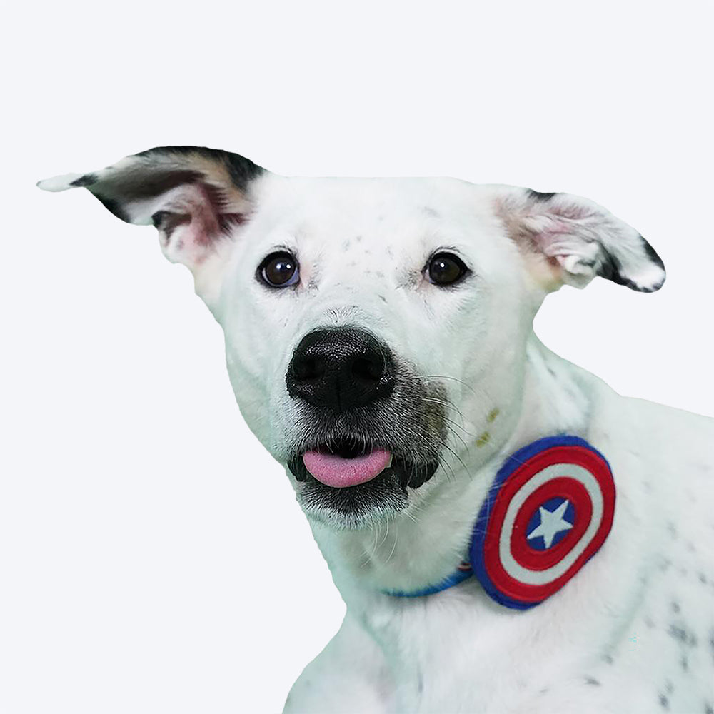 HUFT XÂ©Marvel Captain America Collar Insert For Dogs - Red - Heads Up For Tails