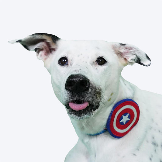 HUFT XÂ©Marvel Captain America Collar Insert For Dogs - Red - Heads Up For Tails