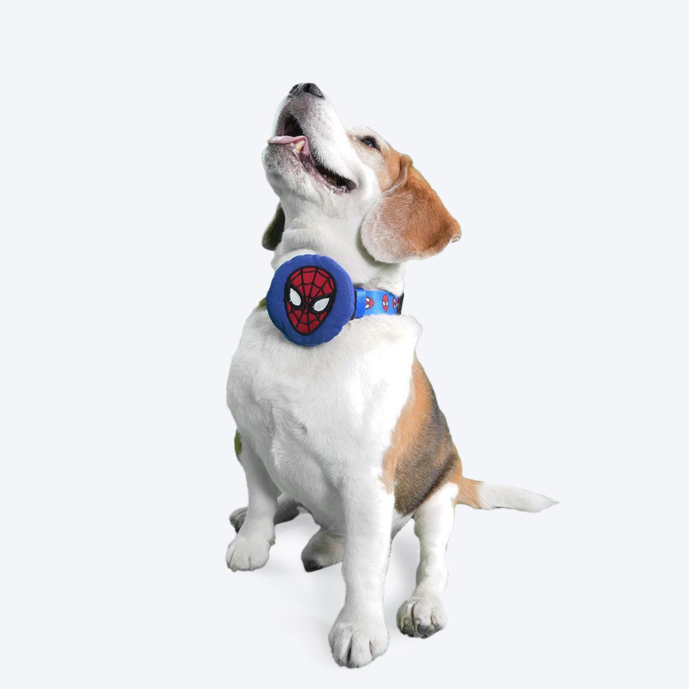 HUFT XÂ©Marvel Spider-Man Collar Insert For Dogs - Blue - Heads Up For Tails