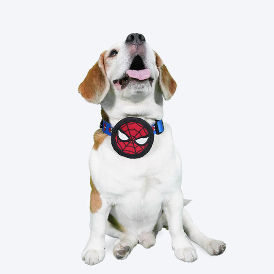 HUFT XÂ©Marvel Spider- Man Collar Insert For Dogs - Red - Heads Up For Tails