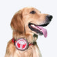 HUFT XÂ©Marvel Thor Collar Insert For Dogs - Grey - Heads Up For Tails