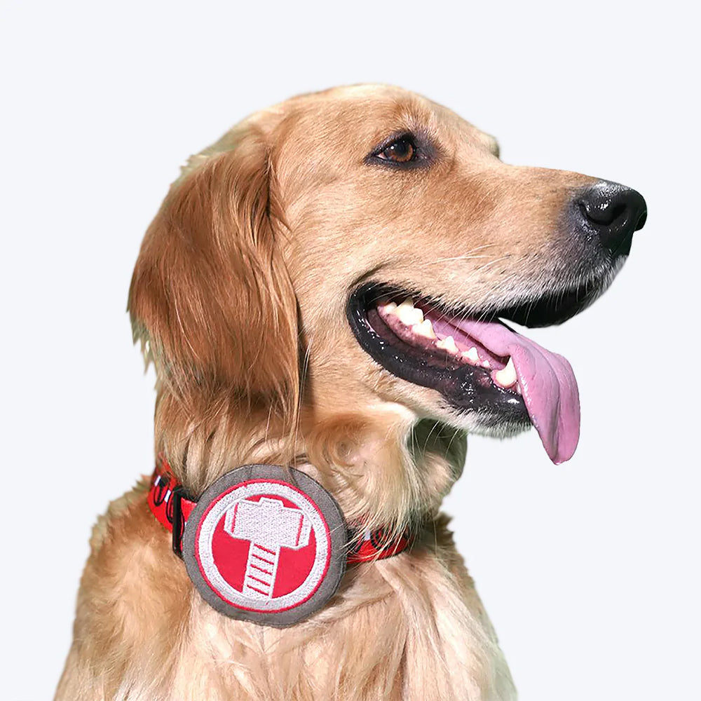 HUFT XÂ©Marvel Thor Collar Insert For Dogs - Grey - Heads Up For Tails
