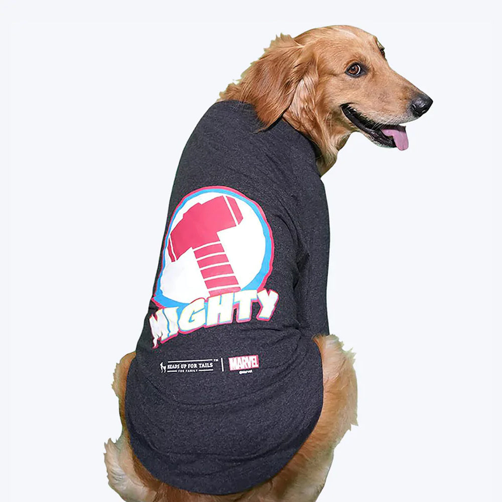 HUFT XÂ©Marvel Thor T-Shirt For Dogs - Heads Up For Tails
