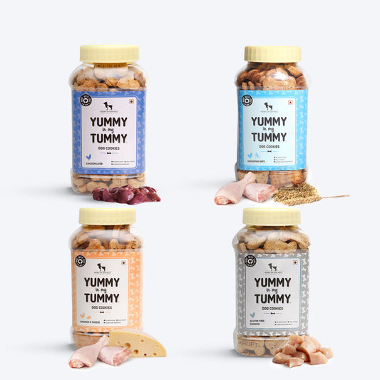 HUFT YIMT Dog Biscuits Combo - Non-Vegetarian - Pack of 4 (320 g Each) - Heads Up For Tails