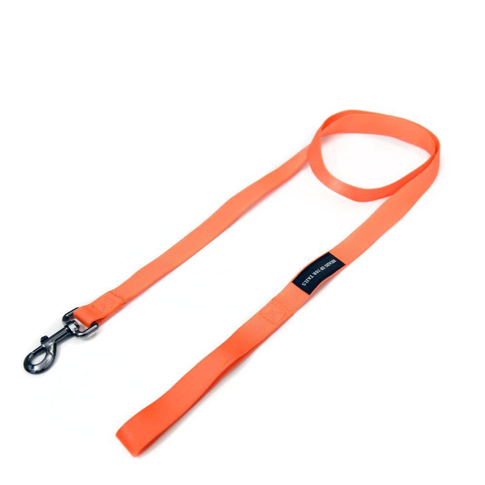 HUFT Essentials Nylon Dog Leash - Orange4