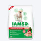 IAMS Proactive Health Labrador Retriever Adult Dry Dog Food (1.5+ Years)-1