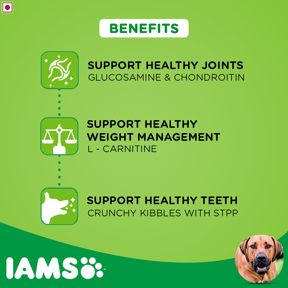 IAMS Proactive HealthLarge Breed Adult Dry Dog Food (Above 1.5+ Years)