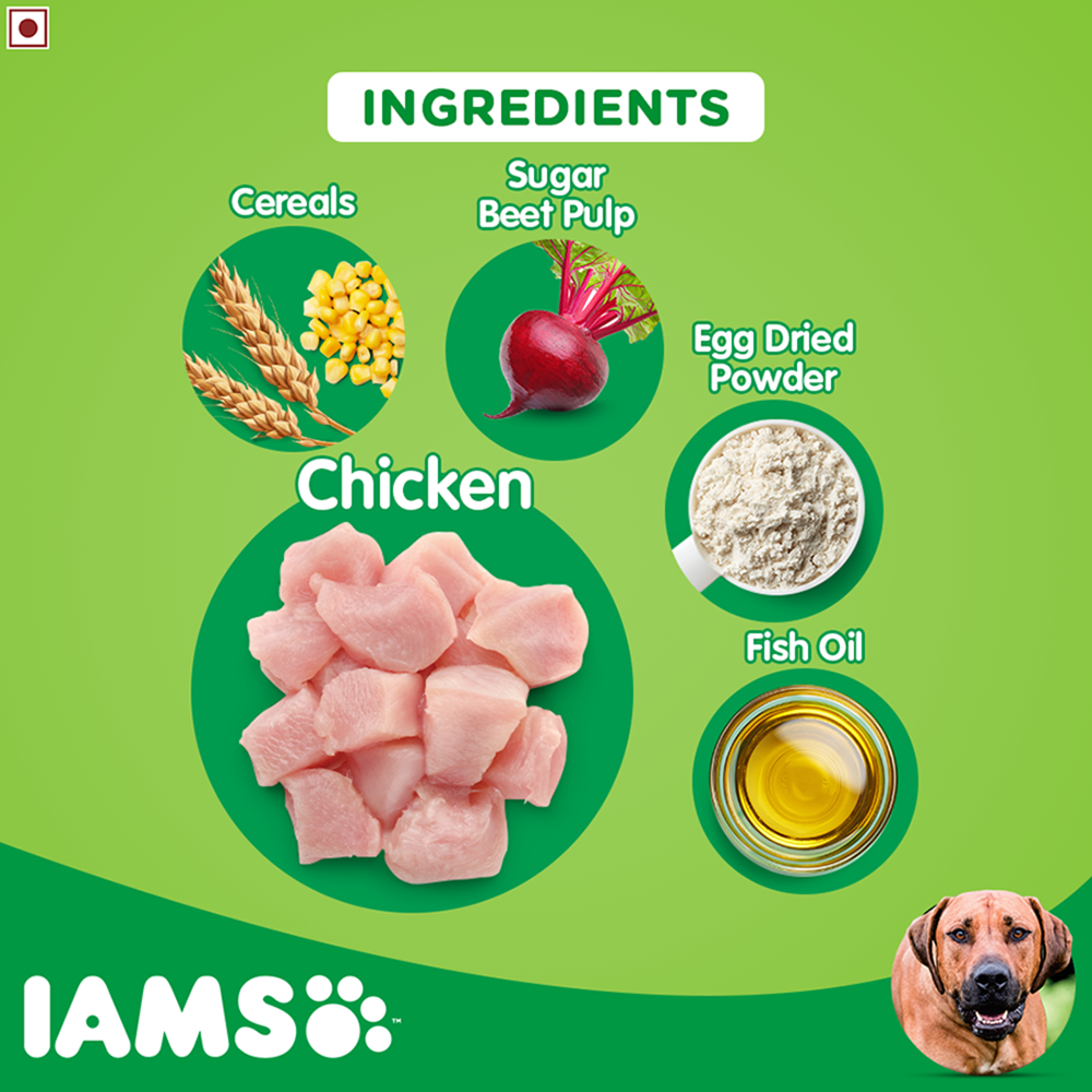 IAMS Proactive HealthLarge Breed Adult Dry Dog Food (Above 1.5+ Years)