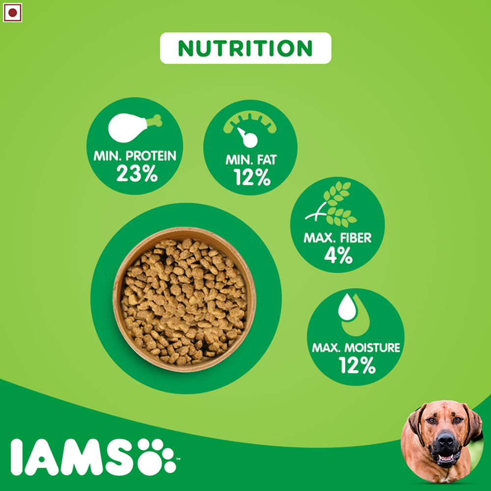 IAMS Proactive HealthLarge Breed Adult Dry Dog Food (Above 1.5+ Years)