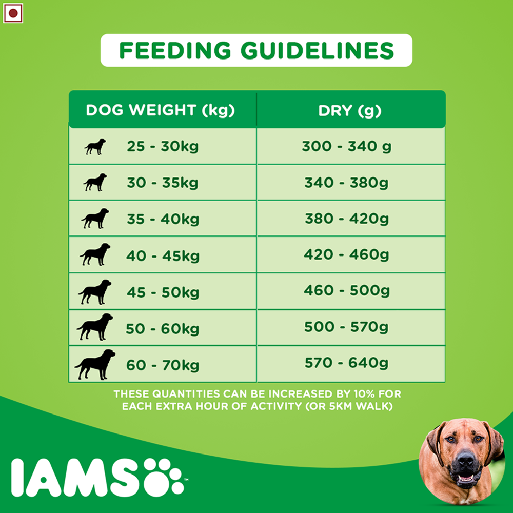 IAMS Proactive HealthLarge Breed Adult Dry Dog Food (Above 1.5+ Years) (2)