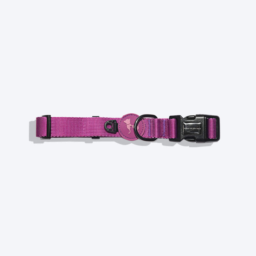 HUFT Classic Nylon Dog Collar - Purple - (Can be Personalised) - Heads Up For Tails
