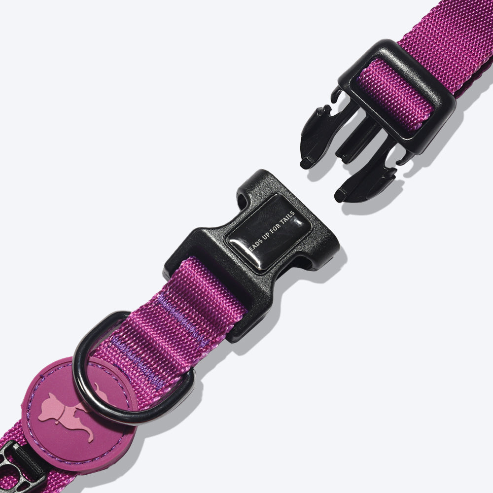 HUFT Classic Nylon Dog Collar - Purple - (Can be Personalised) - Heads Up For Tails