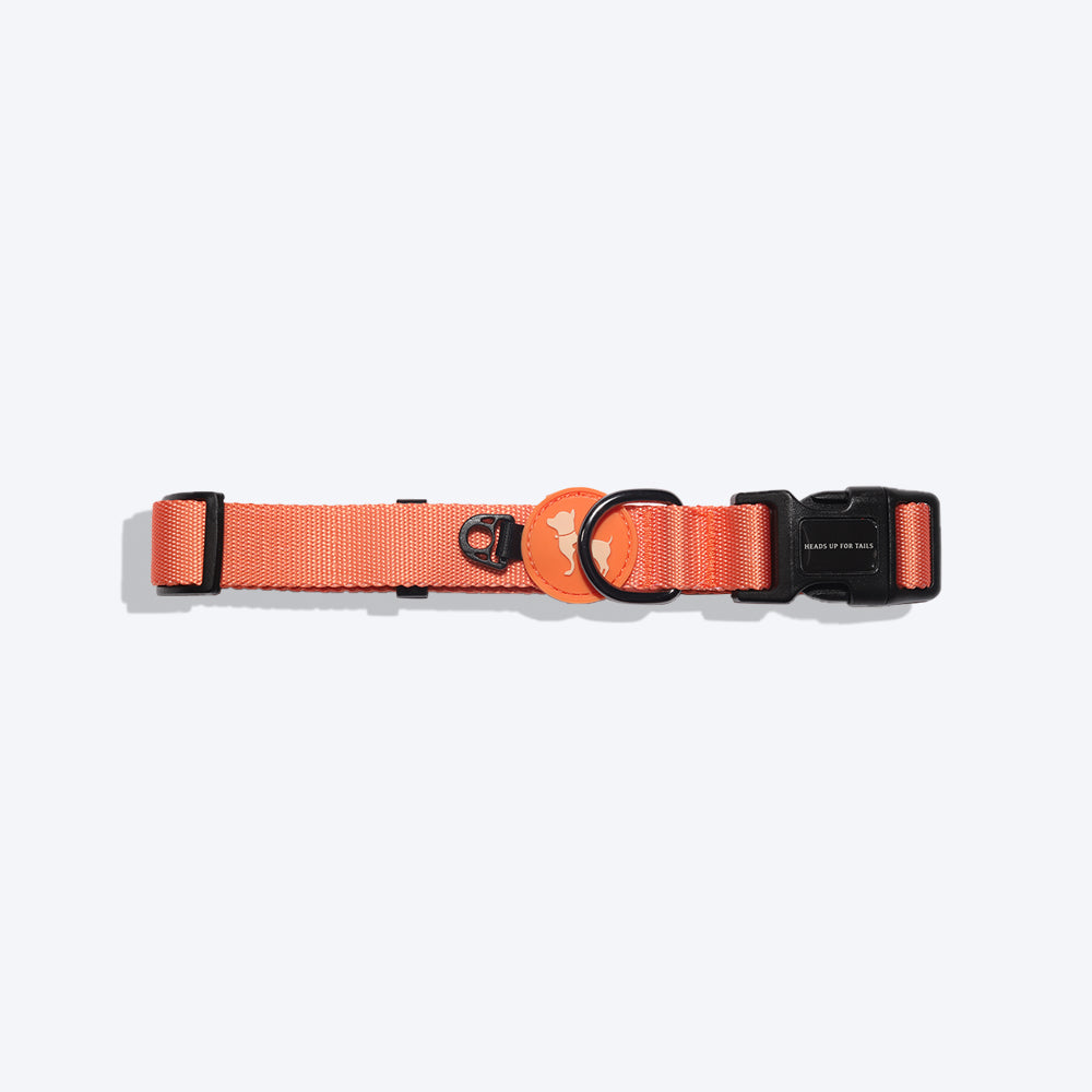HUFT Classic Nylon Puppy Collar - Orange - Heads Up For Tails