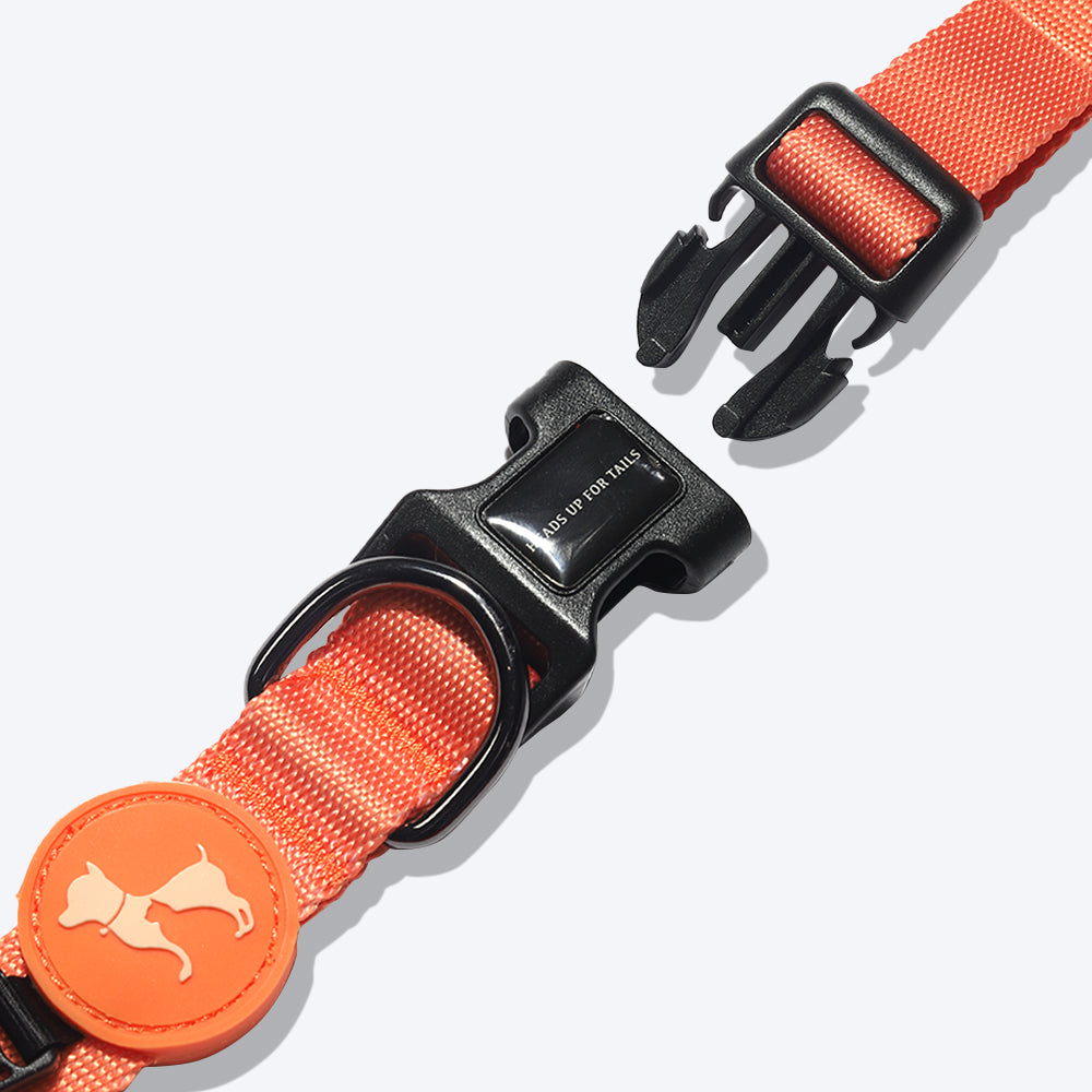 HUFT Classic Nylon Puppy Collar - Orange - Heads Up For Tails