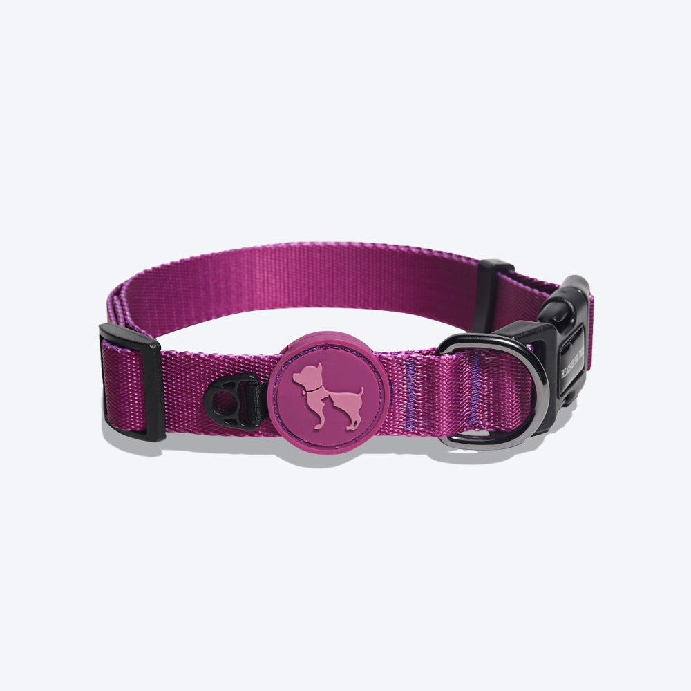 HUFT Classic Nylon Dog Collar - Purple - (Can be Personalised) - Heads Up For Tails