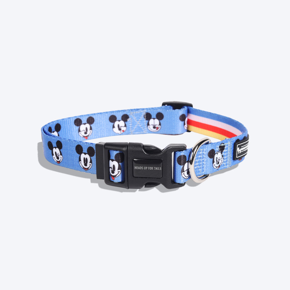 HUFT XÂ©Disney Mickey Dog Collar - Sky Blue - Heads Up For Tails