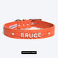 HUFT Personalised Dog Collar - Orange - Upto 7 Letters - Heads Up For Tails
