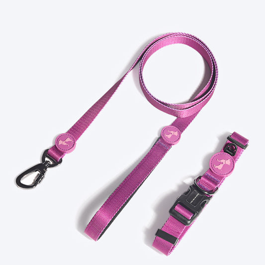 HUFT Nylon Dog Collar and Leash -Purple - (Set of 2) - Heads Up For Tails
