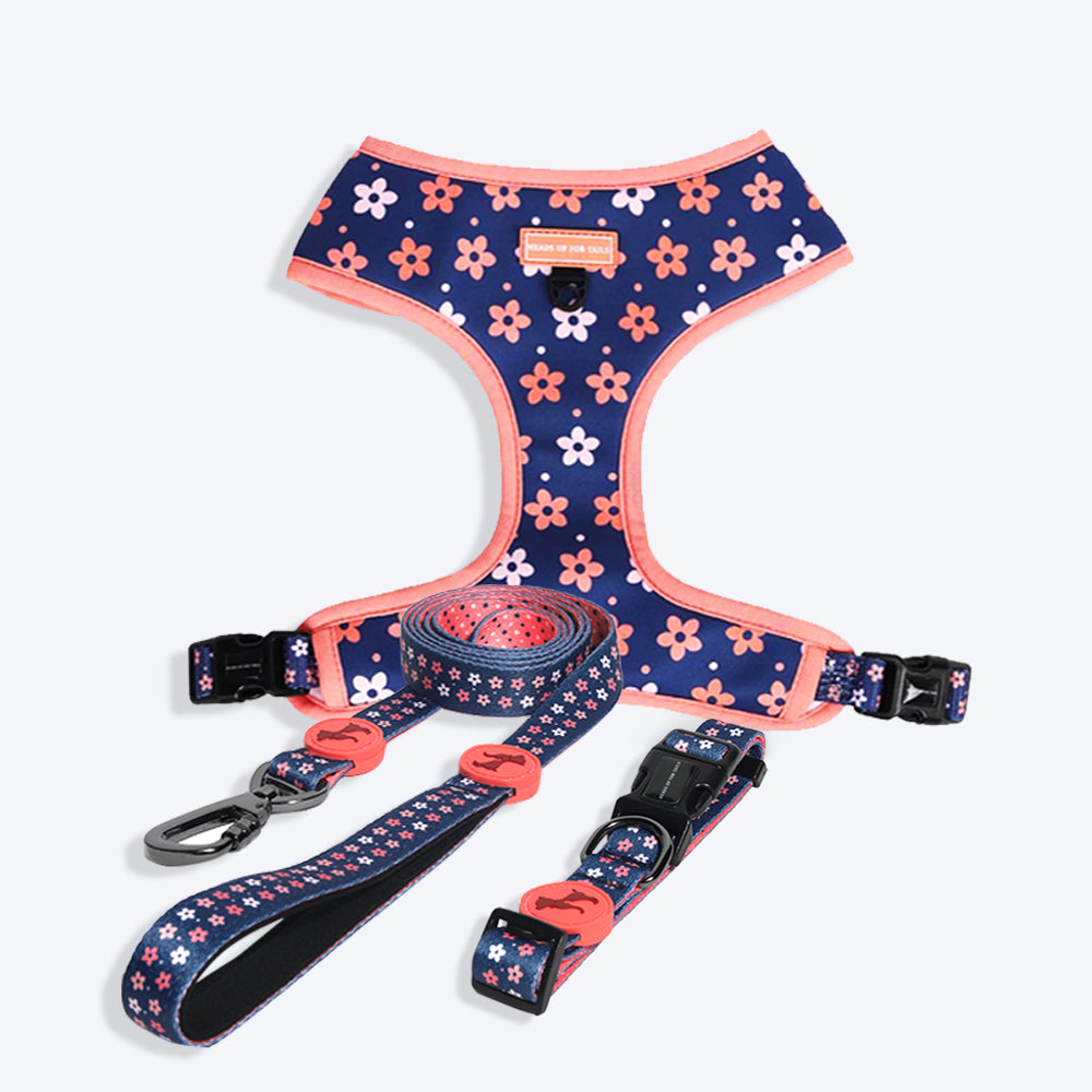 HUFT Floral Nylon Dog Collar, Leash and Harness (Set of 3) - Heads Up For Tails