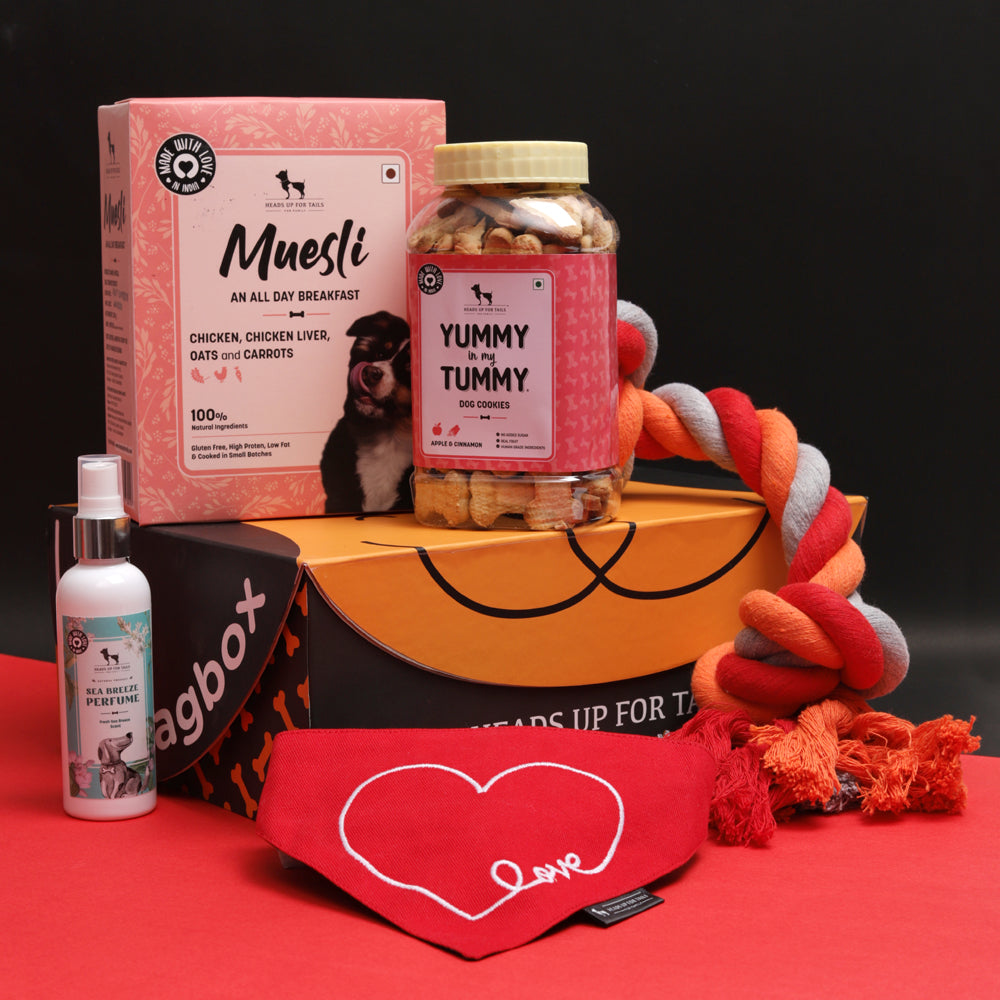 HUFT Valentine Wagbox 2021