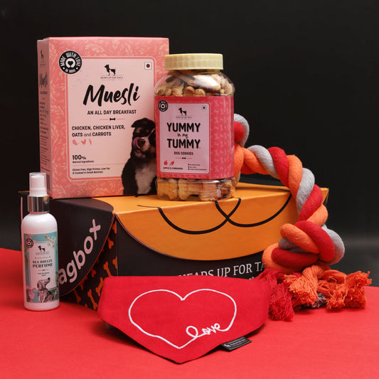 HUFT Valentine Wagbox 2021