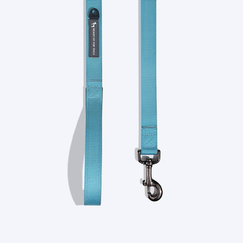 HUFT Essentials Nylon Dog Leash - Aqua Blue - Heads Up For Tails