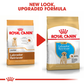 Royal Canin Labrador Retriever Dry Puppy Food - Heads Up For Tails