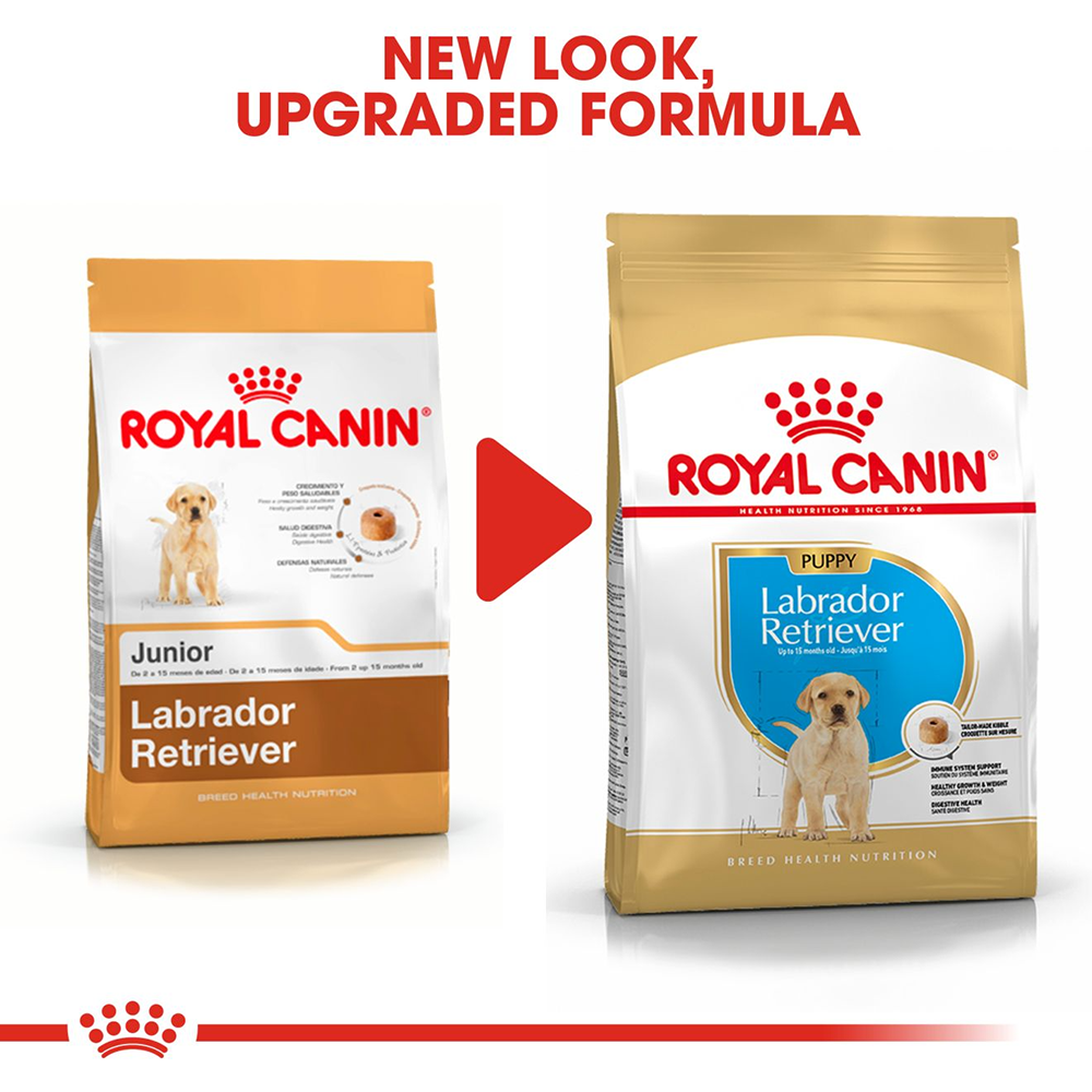 Royal Canin Labrador Retriever Dry Puppy Food - Heads Up For Tails