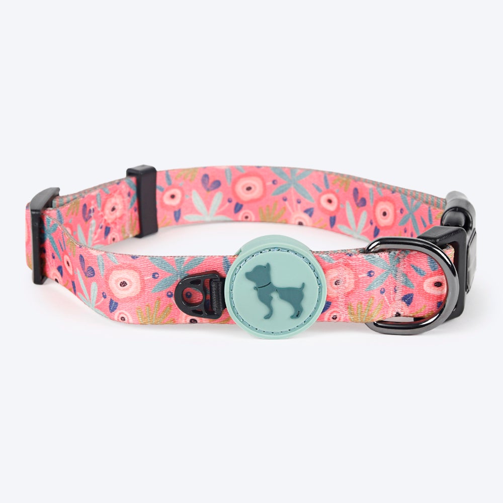 HUFT Bloom Nylon Dog Collar, Leash and Harness (Set of 3) - Heads Up For Tails