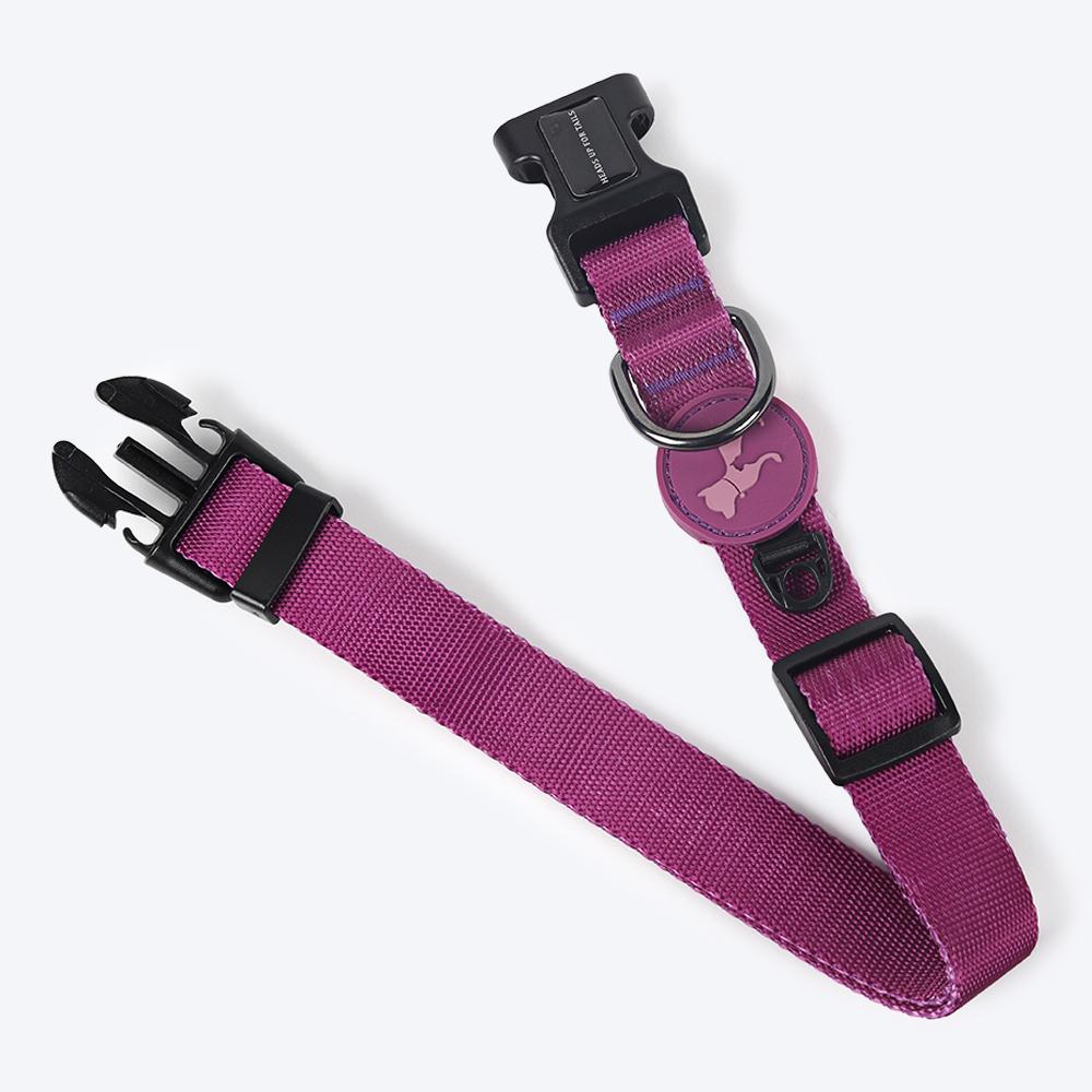 HUFT Classic Nylon Dog Collar - Purple (Can be Personalised)6