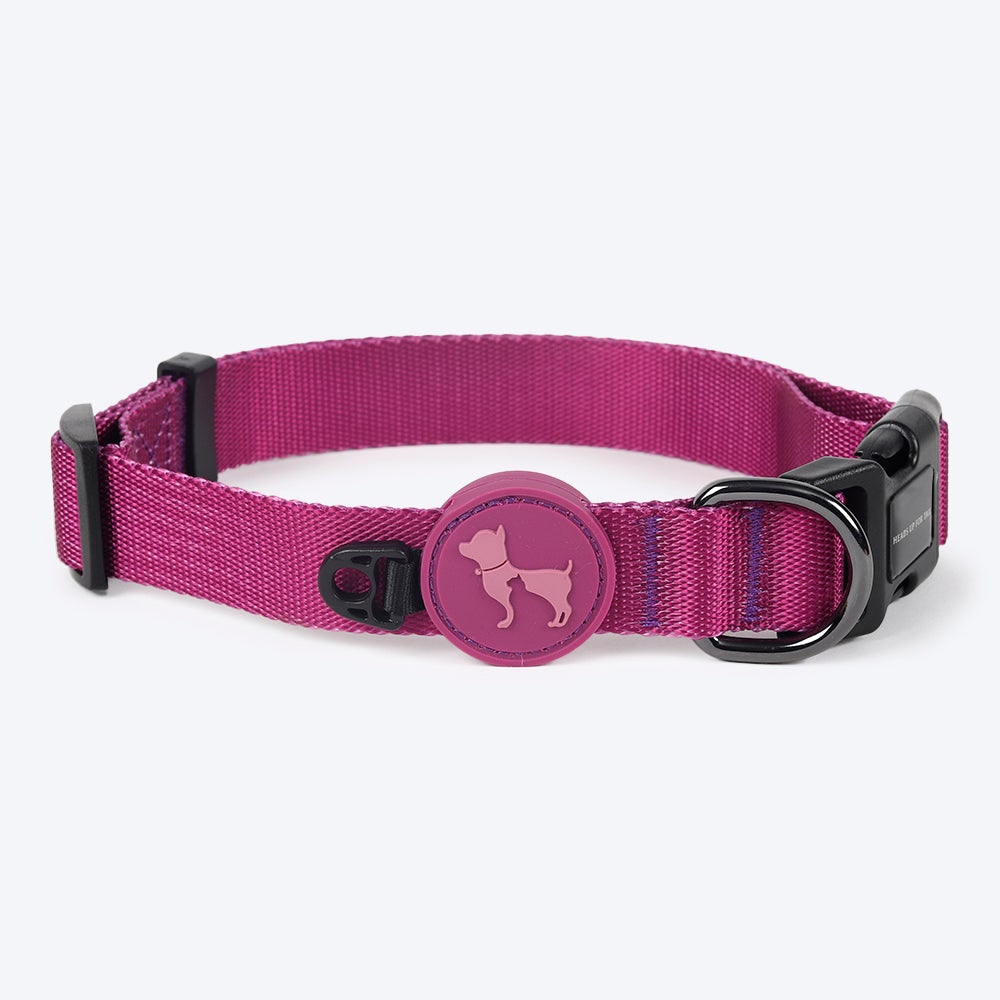 HUFT Nylon Dog Collar and Leash -Purple - (Set of 2) - Heads Up For Tails