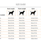 HUFT X Â©Marvel Captain America T-Shirt For Dogs - Heads Up For Tails