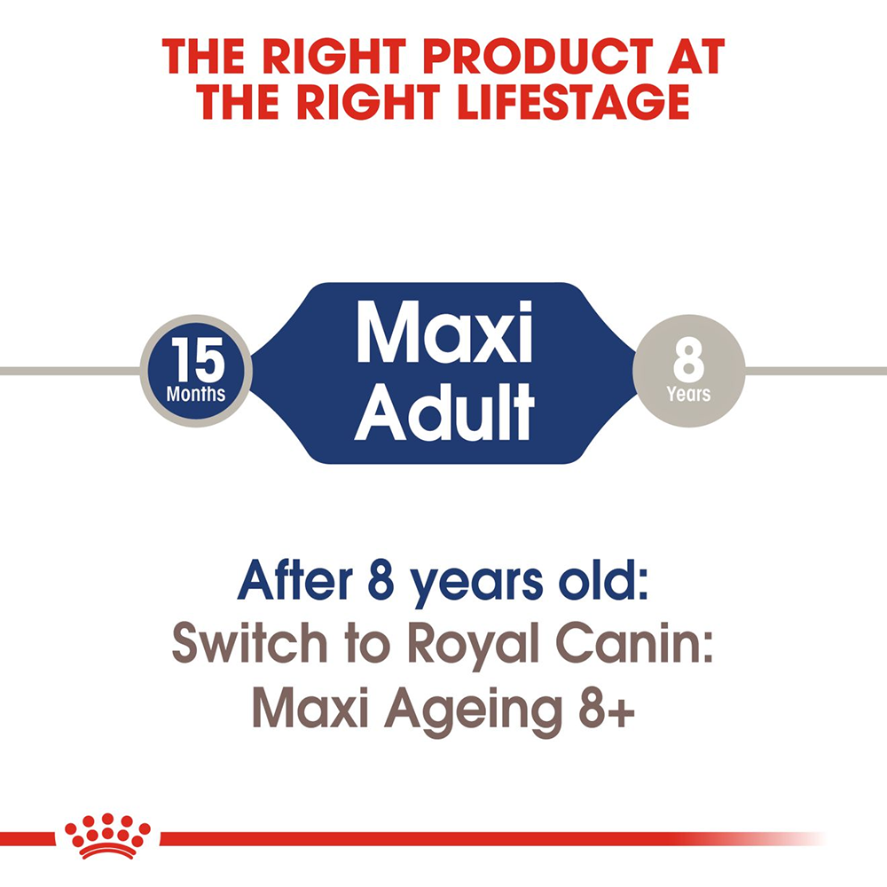 Royal Canin Maxi Adult Dog Wet Food - 140 g - Heads Up For Tails