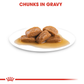 Royal Canin Maxi Adult Dog Wet Food - 140 g - Heads Up For Tails