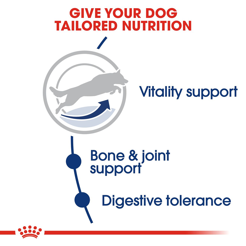Royal Canin Maxi Breed 5+ Adult Dry Dog Food - 4 kg - Heads Up For Tails