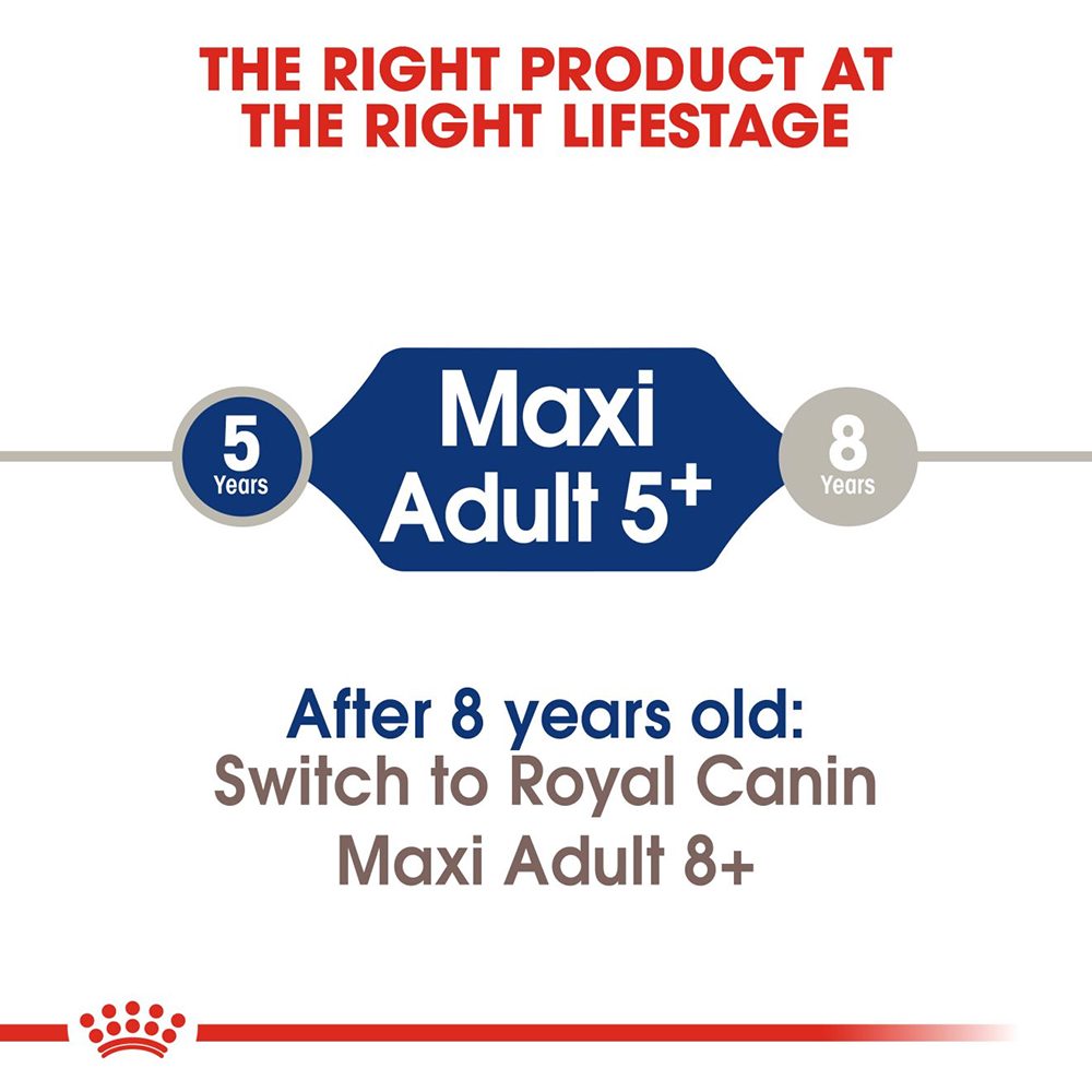 Royal Canin Maxi Breed 5+ Adult Dry Dog Food - 4 kg - Heads Up For Tails