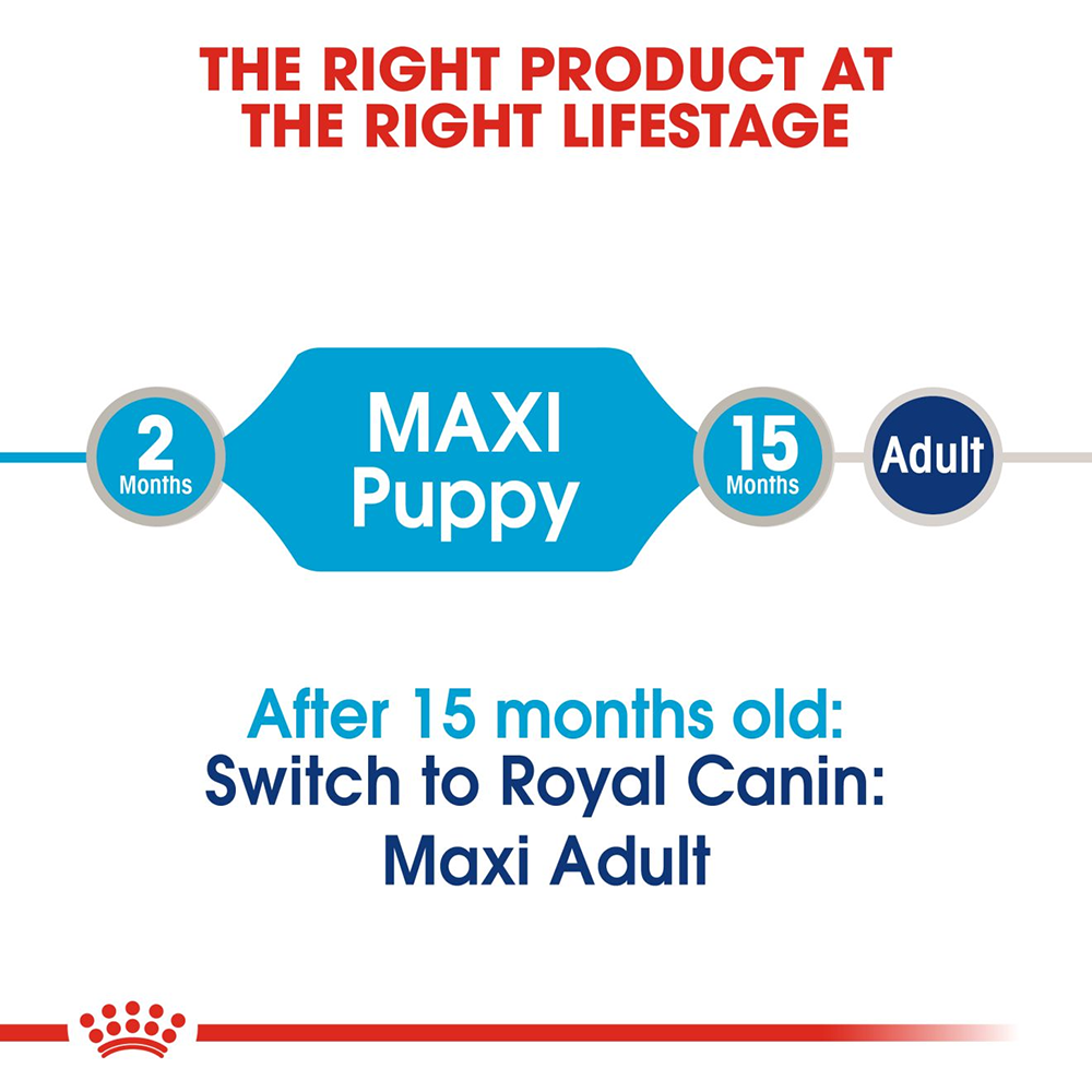 Royal Canin Maxi Breed Wet Puppy Food - 140 g - Heads Up For Tails