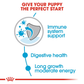 Royal Canin Maxi Breed Wet Puppy Food - 140 g - Heads Up For Tails