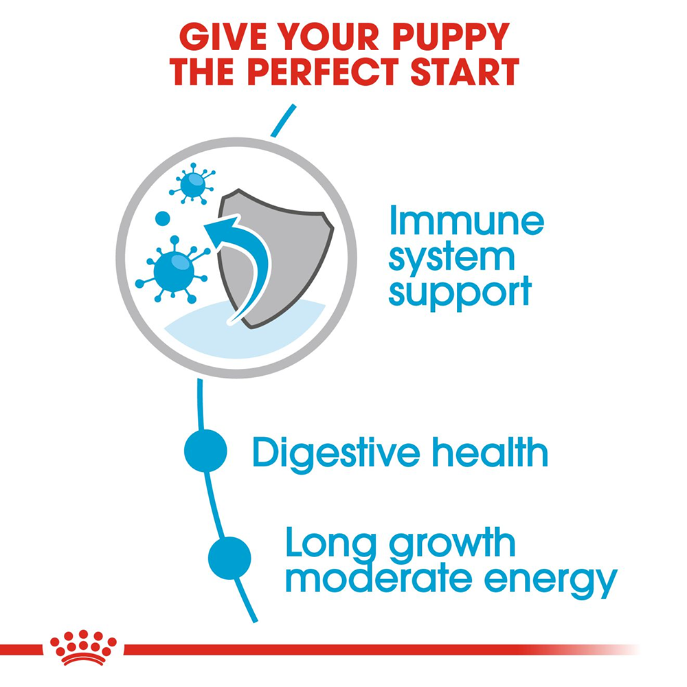Royal Canin Maxi Breed Wet Puppy Food - 140 g - Heads Up For Tails